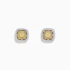 BH Multi Canare 18K Two Tone Gold Double Halo Yellow Diamond Stud Earrings, 0.76 TCW | Earrings