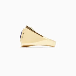 Effy Jewelry Men's 14K Yellow Gold Tanzanite and Diamond Ring, 4.20 TCW | Mens