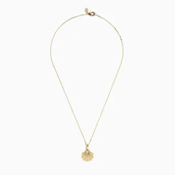BH Multi Seaside 14K Yellow Gold Scallop Shell Pendant | Necklaces & Pendants